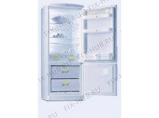 Холодильник Gorenje K286CLA4 (695685, HZS2866) - Фото